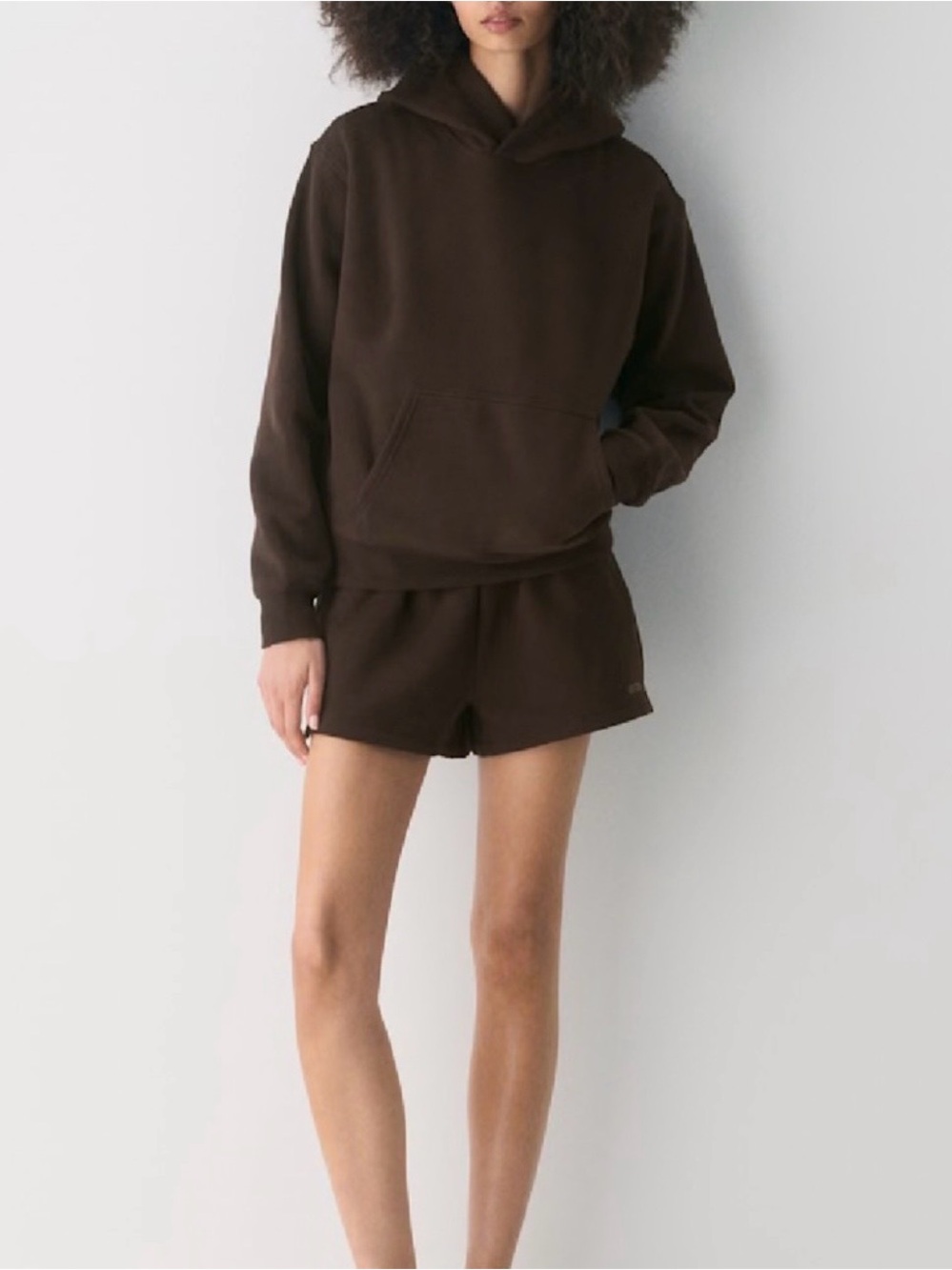 Aritzia Chocolate Brown Hooded Sweatshirt